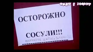 смешные названия - смешно - смешные картинки 2018