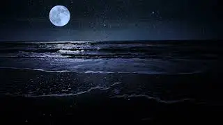 Focus on Listening to Ocean Sounds & Waves Crashing for Quick Sleeping at Night