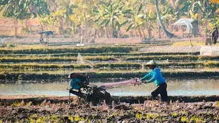 suasana pedesaan Sunda - kampung bayah Banten
