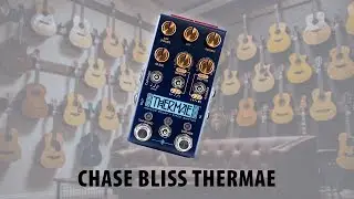 Chase Bliss Thermae Analog Delay / Pitch Shifter Rundown