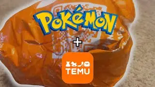 I Ordered Sketchy Pokemon Items From Temu, This is How it Went (2023)