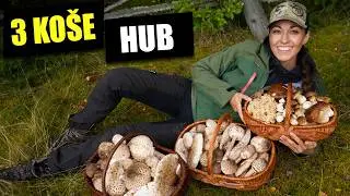 Neuvěřitelné množství hub v lesích na Šumavě! Bedly, hřiby, kotrče.