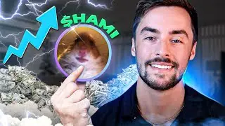 Running a Multi-Million Dollar Solana Meme Coin Project ($HAMI Update 17)