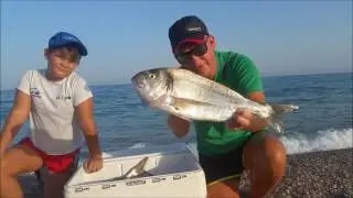 Espinete Surfcasting pesquera de 5°Doradas( Vertix divine )
