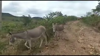 30 de julho de 2022