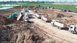 Huge Swamp Landfill Process Massive Dump Truck Unloading Sticker Dirt Bulldozer Pushing Non stop