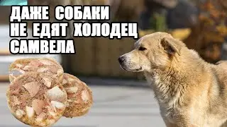 САМВЕЛ АДАМЯН ДАЖЕ СОБАКИ НЕ ЕДЯТ ЕГО ХОЛОДЕЦ