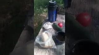 обед на сенокосе
