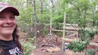 Another day on starting the homestead.