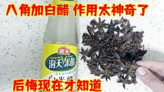 八角放白醋裏面泡一泡，作用太厲害了，後悔知道的太晚了#生活小妙招 #養生 |乐妈生活小妙招