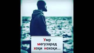 23 сентября 2021 г.