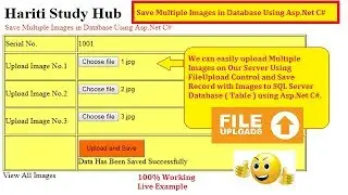 Upload Multiple Images and Save into Database with Asp.Net C# | Hindi | Free Online Classes