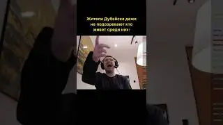 Папич орет с птичек мем папич угарает с птичек и веселиться папич че за тип я не могу))