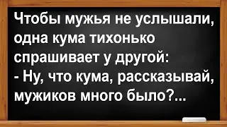 Кума рассказала, сколько мужиков у неё было на отдыхе... Анекдоты! Юмор! Позитив!