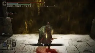 ELDEN RING :promise Consort Radahn Defeated