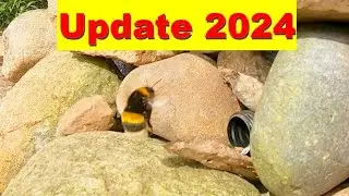 Hummelnest neu anlegen und verbessern