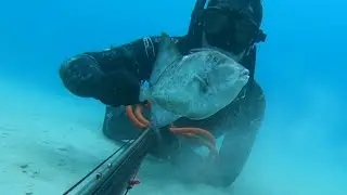 Chasse sous marine côte d'azur août 2020