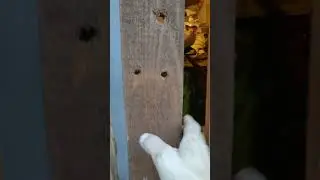 Несколько дней дождь.