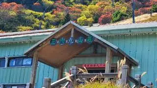 2020 1116 雪山369山莊 夜幕