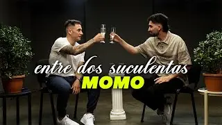 MOMO AND THE WORST INTERVIEW OF HER LIFE - BETWEEN TWO SUCCULENTS #8
