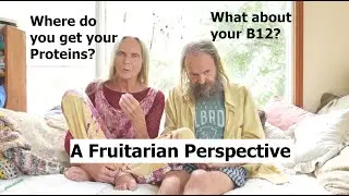 Where do we get our Protein? B12? Etc.