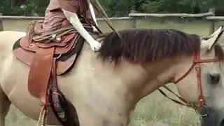 Funny video animal 2019