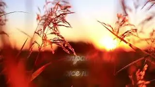Жизнь одна...