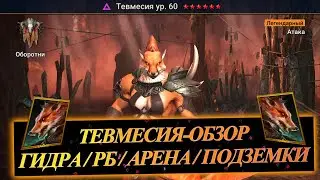 THEUMESIA! HERO REVIEW - TALENTS, SETS, UNDERGROUNDS, HYDRA, ARENA, TOWER OF DOOM