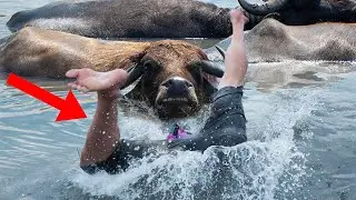 When The Hunters Became The Hunted
