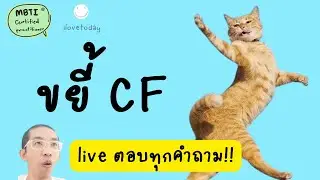 ไลฟ์ EP.3 CF เพื่อ Dev ตัวเองกัน (Healthy Development)  : MBTI ilovetoday วันนี้ดีที่สุด