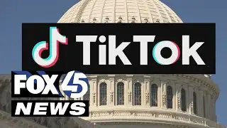 What will happen if TikTok ban goes through?