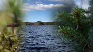 Фотографирую на берегу озера
