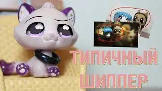 LPS - ТИПИЧНЫЙ ШИППЕР.