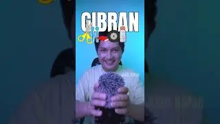 What’s Next?? Subscribe!!!