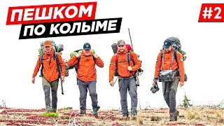 ПЕШКОМ ЧЕРЕЗ ДИКУЮ ТАЙГУ КОЛЫМЫ.  ПОИСКИ САМОЛЁТА. ПЕШИЙ ПОХОД ЧЕРЕЗ БОЛОТО И СОПКИ КОЛЫМЫ. Часть 2