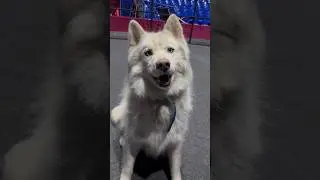 Кашпировский заряжает энергией через экран телефона 🧙‍♀️🪄