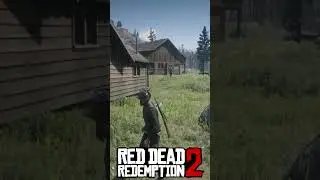 Red Dead Redemption 2 ► С тобой все хорошо?) #shots_video  #shorts