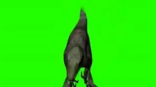 VIDEO BACKGROUND FULL HD / MHX KHUG LONG