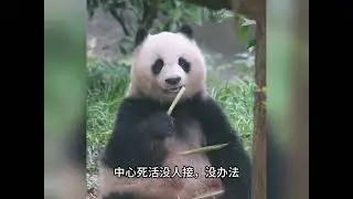 cub