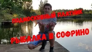 Подмосковный платник Рыбалка в Софрино