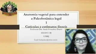Anatomia vegetal para entender a  Palebotânica legal 1 (Cutículas e estômatos fósseis).