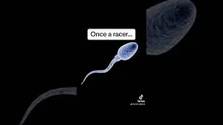 Born to tace