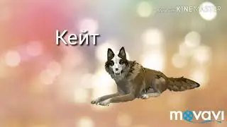 Сериал 