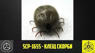 SCP-1655 - Клещ скорби        【СТАРАЯ ОЗВУЧКА】