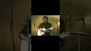 Звезда по имени солнце, концерт#shorts