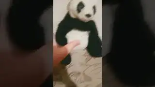 Не прокатило(