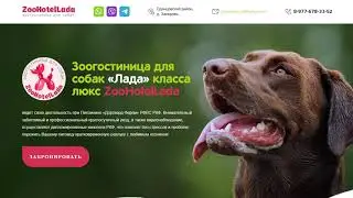 Зоогостиница "ЛАДА"