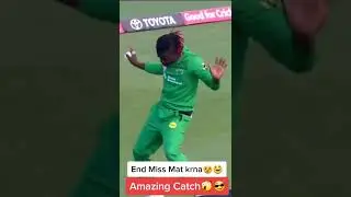 funny moment at cricket