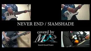 NEVER END / SIAMSHADE copy【MSP】