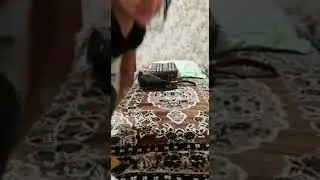Красавица танцует